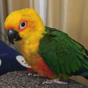 Meet your Posher, Cindy